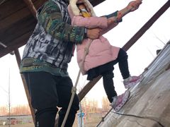 -河北村民俗体验园