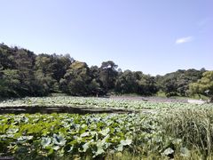 -承德避暑山庄景区