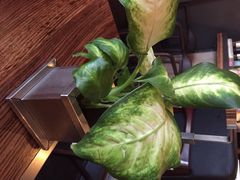 -PIZZA BIANCA(民园店)