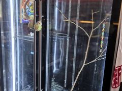 -花与咖啡馆(金星楼店)