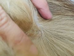 -FAELING PETS美天灵宠物(合生汇店)