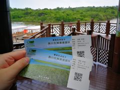 -东寨港红树林旅游区