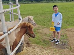 -济州森林小火车生态公园