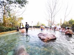 -天目湖涵田半山温泉