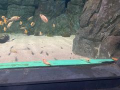 -常州海昌海洋探索馆