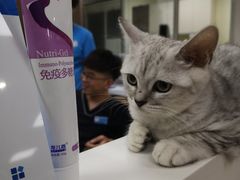 -奈斯宠物医院·核磁CT·异宠专科·内镜(中南店)