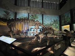 -湖南省地质博物馆