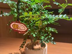 -CURRY YA 熟成咖哩專門店(深圳湾万象城店)