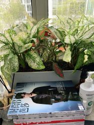 -变画·发型STUDIO