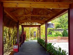 android_upload_pic-三亚亚龙湾凯莱仙人掌度假酒店