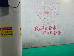 -琴岛之星摩天轮