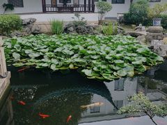 -華僑飯店中餐厅