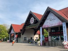 -上海海湾国家森林公园
