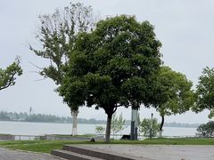 -东湖落雁景区
