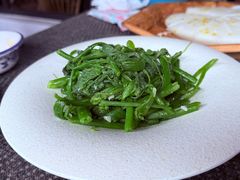 -阿巧茶庄