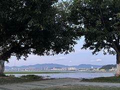 -洱海月湿地公园