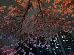 -红星桥(地铁站)