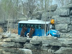 -北京野生动物园