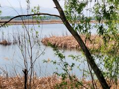 -野鸭湖国家湿地公园
