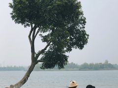 -桐乡凤凰湖