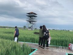 景点-稻梦空间