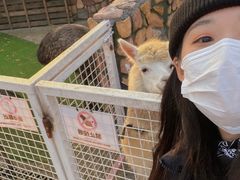 -金庭庄园酒店-停车场