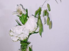-知物癖(牛王庙店)