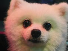 -凡花主题KTV(天虹店)