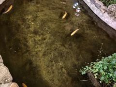 -遥桥古堡