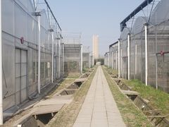 -菊园百果园