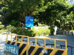 -广州市流溪河国家森林公园