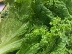 -龍歌自助小火锅(城阳万象汇店)