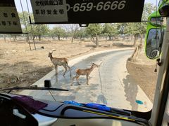 -西安秦岭野生动物园