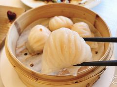 -湛江菜.江南首席(昆山店)