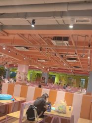 -宝燕乐园(闵行旗舰店)