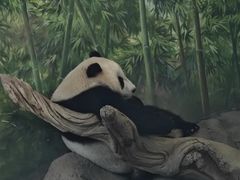 -武汉动物园