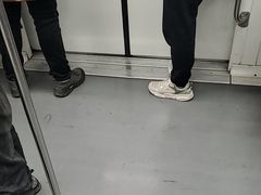 -锦江乐园(地铁站)