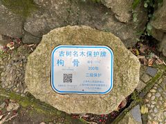 -秋霞圃