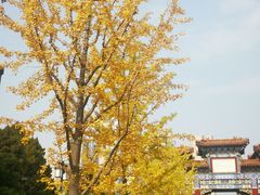 -迎泽公园