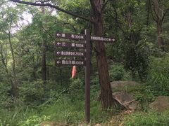 -鲁山国家森林公园