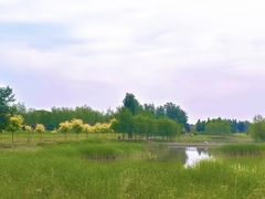 -嵖岈山风景区