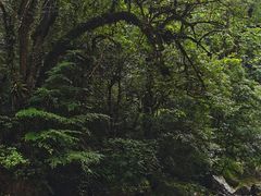 -龙苍沟森林公园