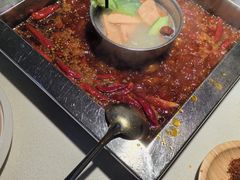 -二荆条·蜀鲜汇城市森林火锅