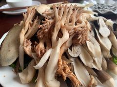 野生菌拼盘-野菌皇海景野生菌火锅(滨海大道店)