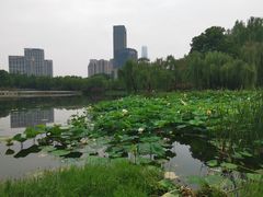 -后襄河公园