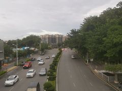 -仙岳公园