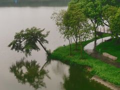 -顺峰山公园