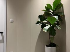-安肯心理咨询(长宁旗舰店)