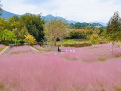 -牛岗山公园