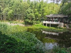 -求雨山文化公园